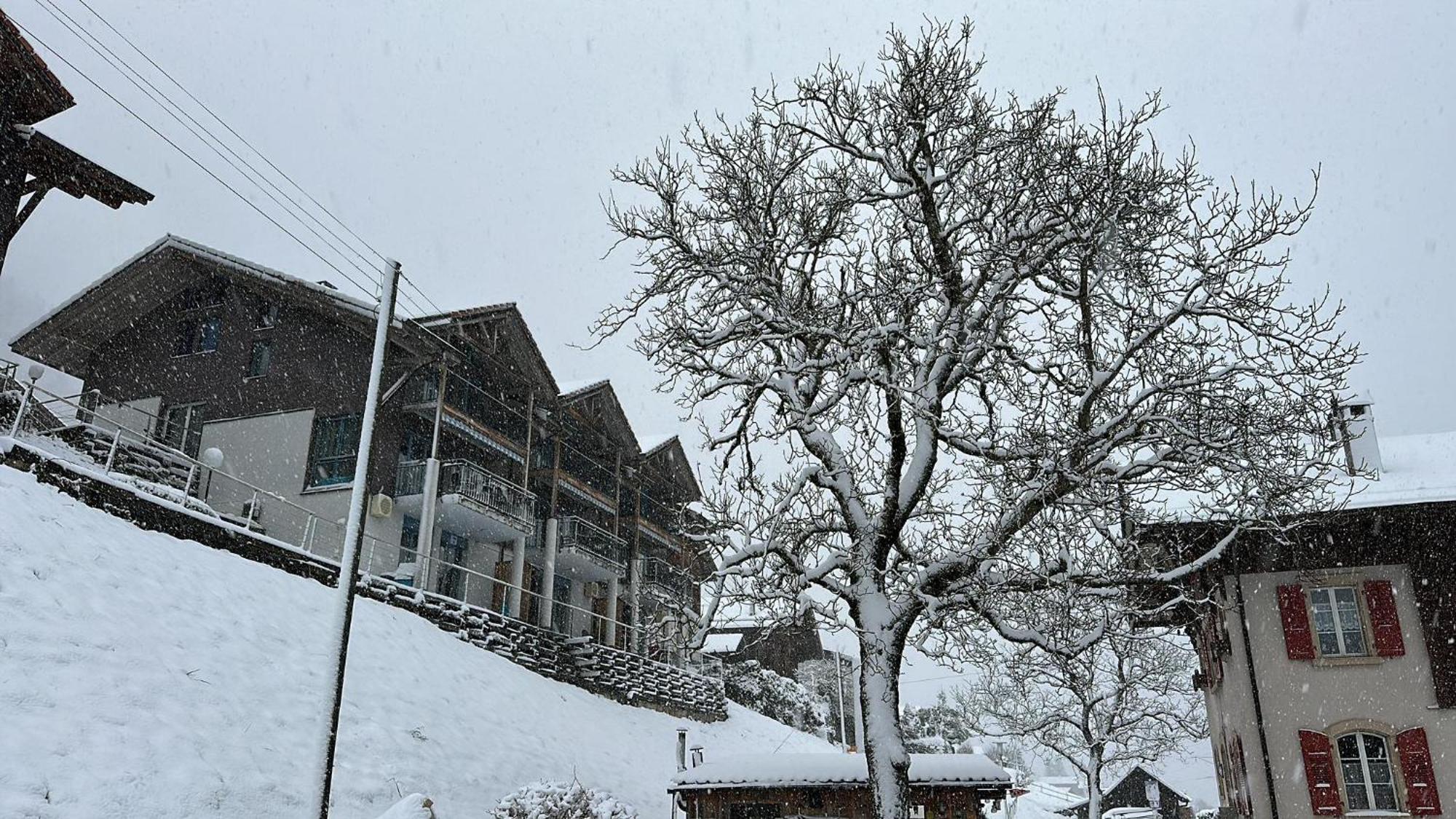 Lake View Residence Niederried bei Interlaken Exteriör bild